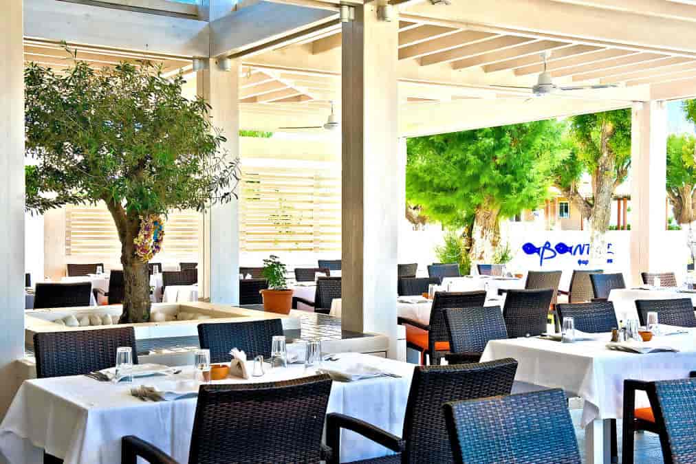 Avantis Fisch-Restaurant